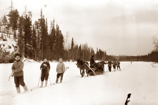 Дорошенко, Колмогорова, Дубинина, повозка и другие члены группы - на лыжне